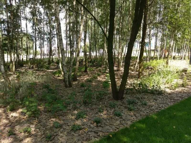 Kora Kamienna Łupek trwały efekt Transport zamiast kory sosnowej