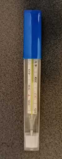 Szklany termometr medyczny z etui.