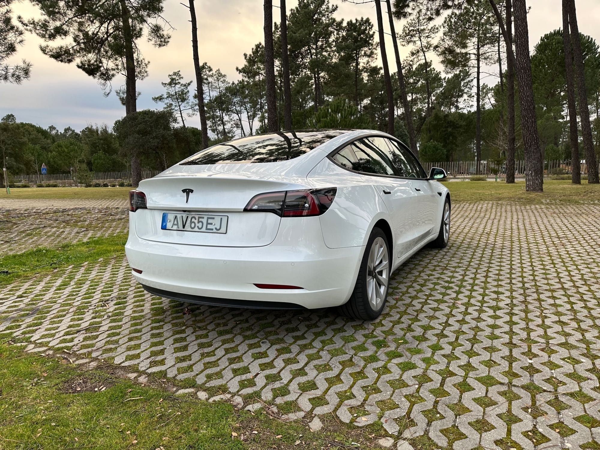 Tesla Model 3 Standard Range Plus de 2021 + Extras