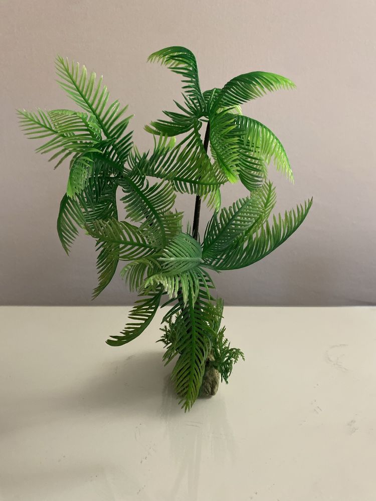 Decoração de aquario