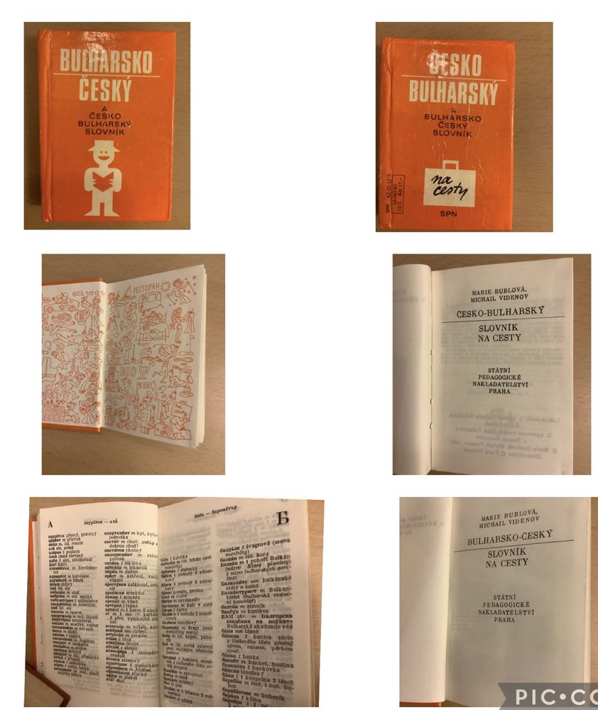 Болгарско-чешский, польско-чешский словари, чешско-английский разговор