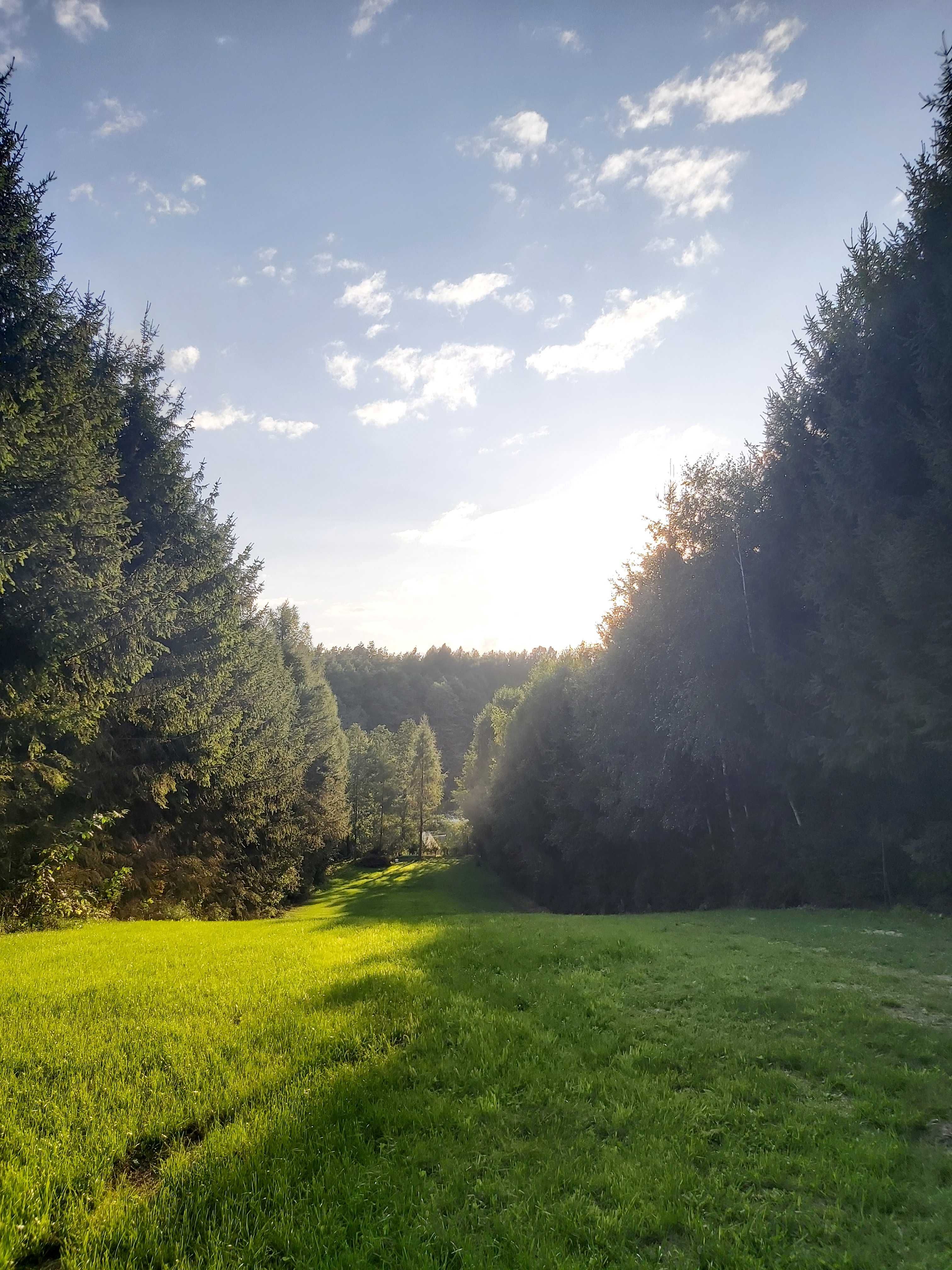 Wakacyjny dom nad jeziorem na wynajem! Balia, sauna, ogród