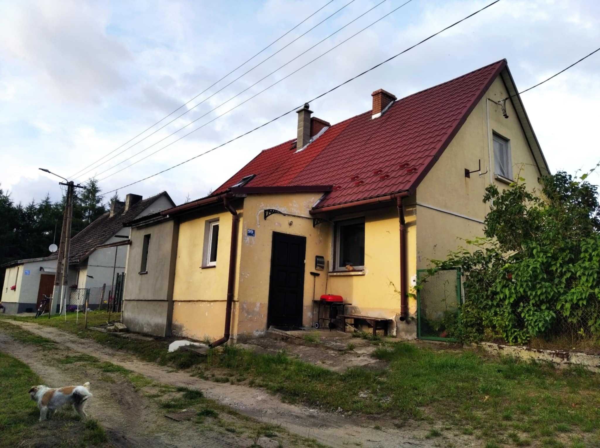 Dom Brzeźnica 23 km od Wałcz