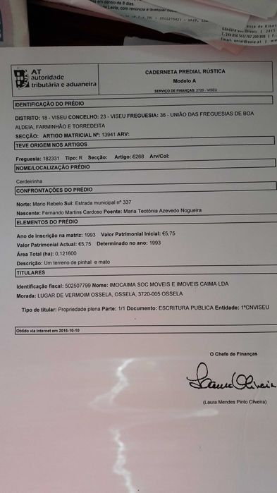 Terreno torredeita viseu