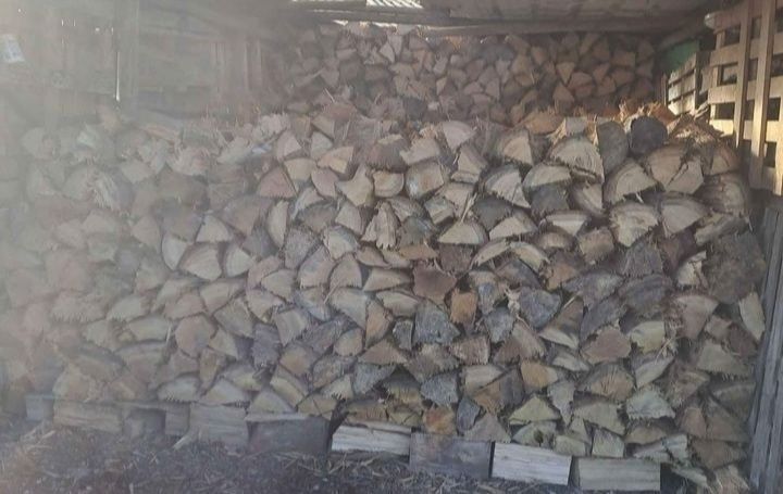 Vendo lenha seca