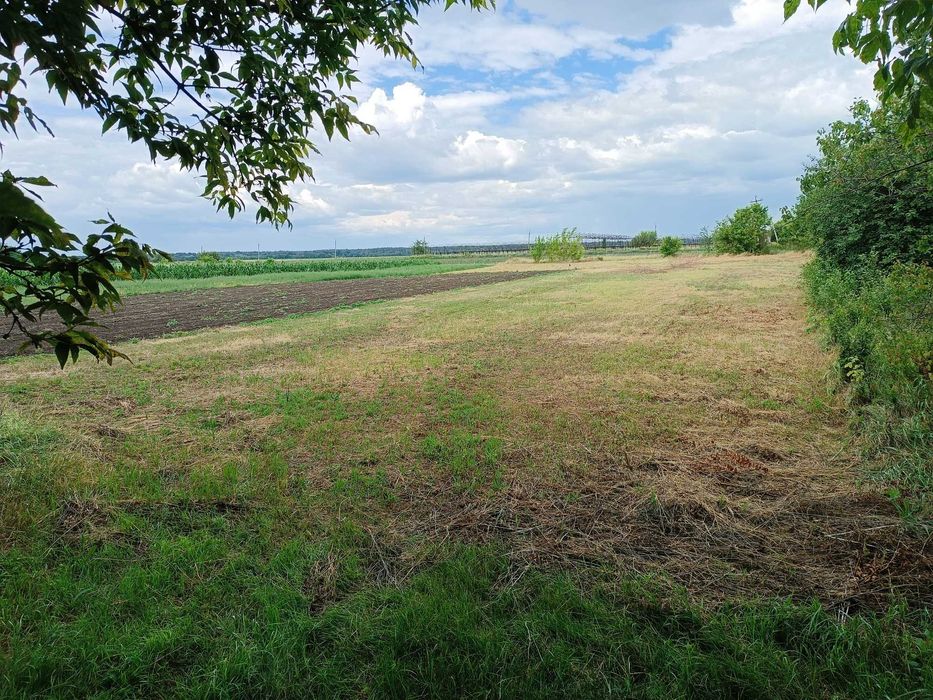 Земельна ділянка