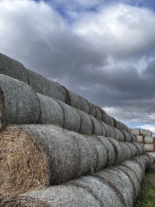 Słoma w belach 125x125