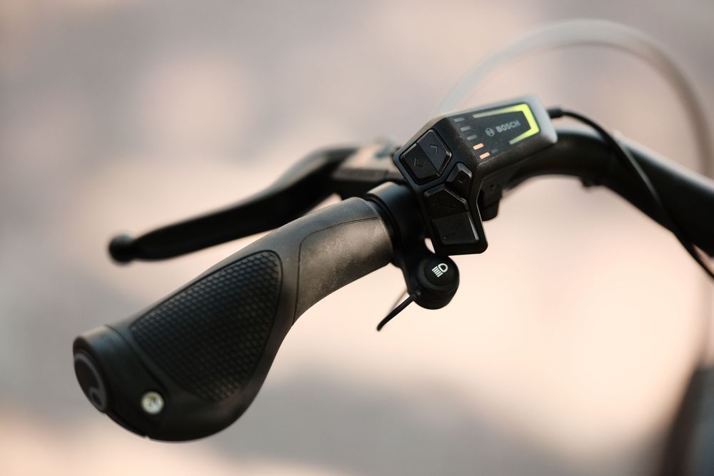 Rower elektryczny Riese Muller, Nevo4 GT Vario