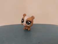 Littlest Pet Shop niedźwiedź