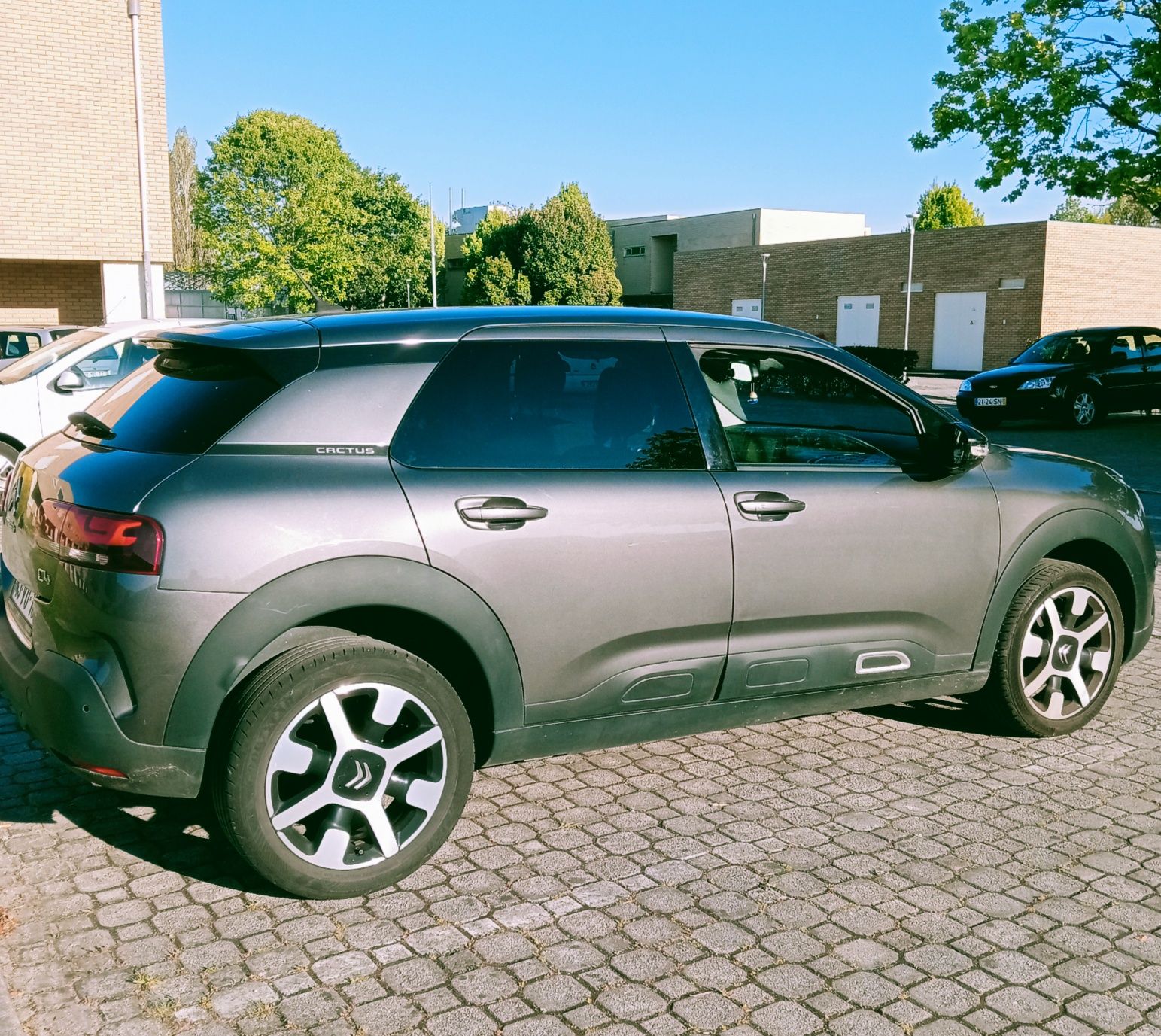 C4 Cactus PureTech Topo Gama