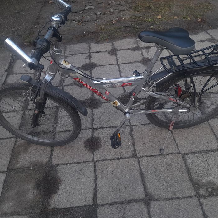 Rower górski na kół 24
