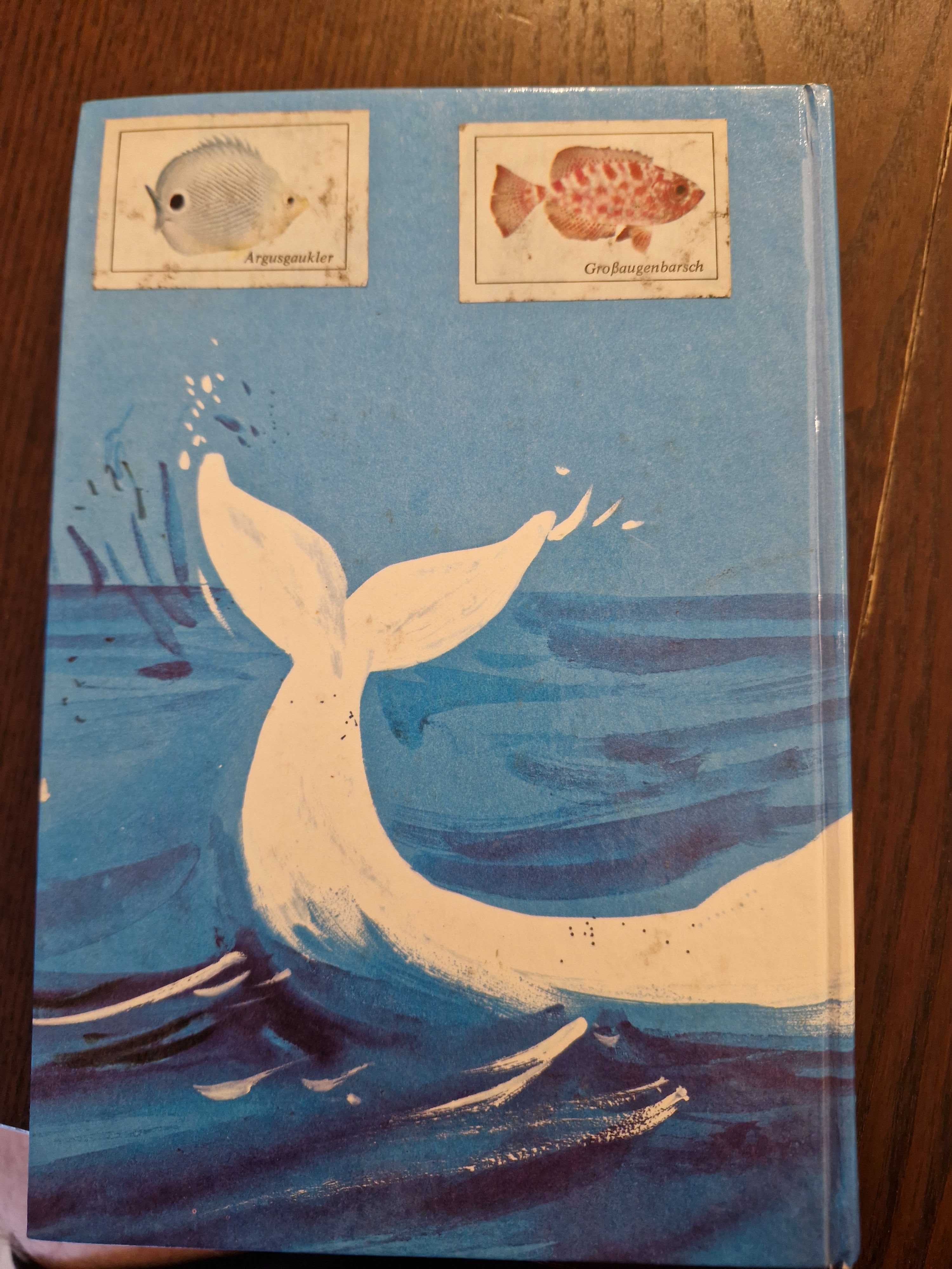 "Moby Dick" - Melville, powieść w jęz. niemieckim