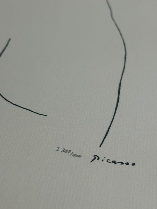 Pablo Picasso Oryginalna Granolitografia Sygnowana Numerowana Rarytas