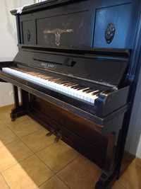 Pianino Carl Ecke