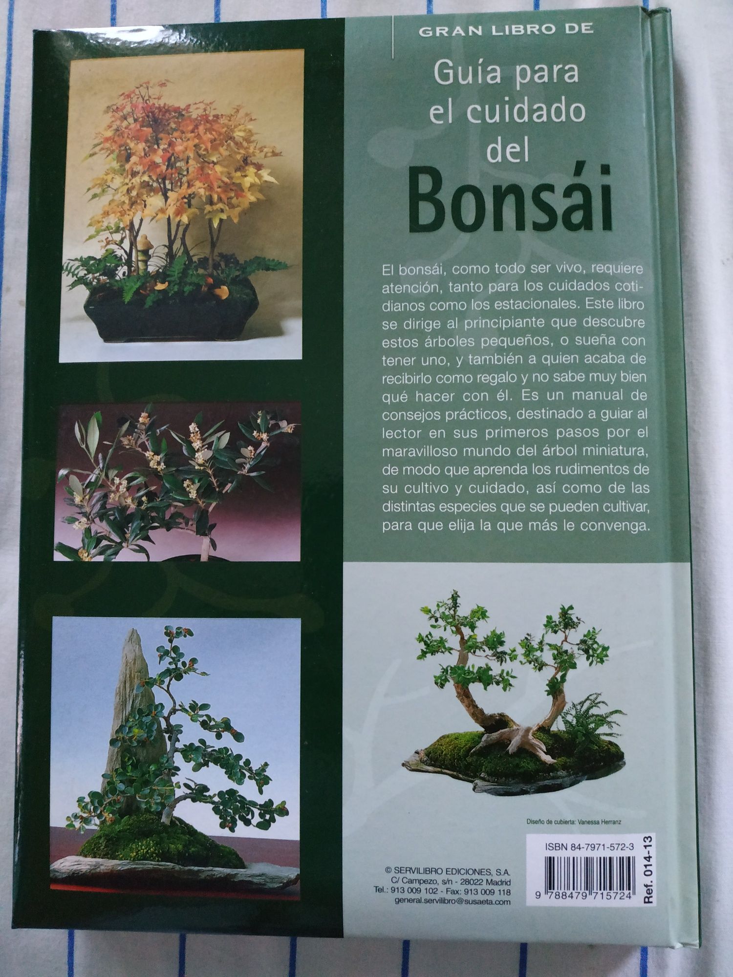 Guia do cuidado do Bonsai