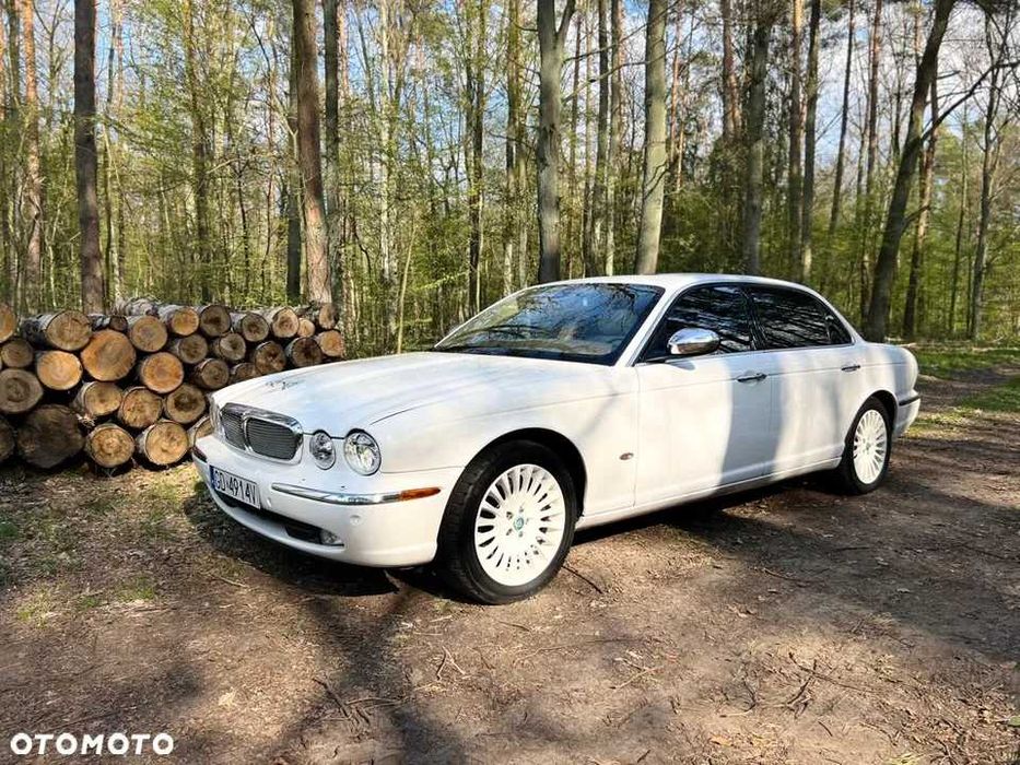 Auto na Ślub Wesele wynajem z szoferem Jaguar XJ limuzyna 5 metrów!