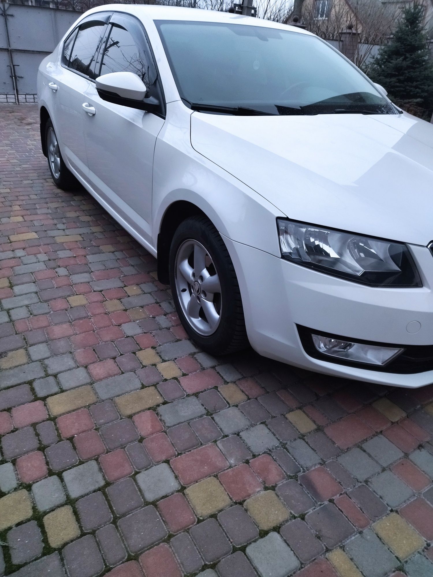 Skoda Octavia A7 TSI