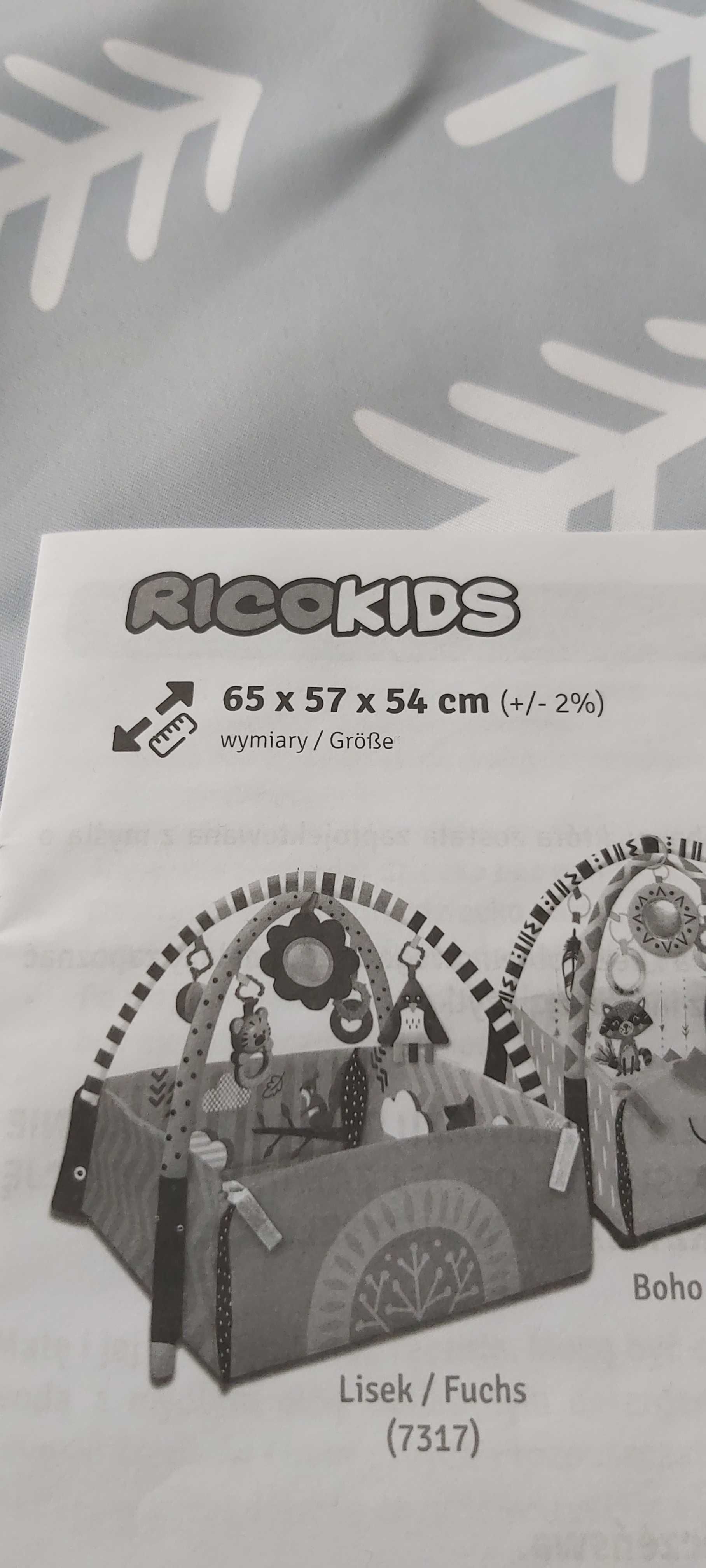 Duża mata interaktywna Ricokids 3w1