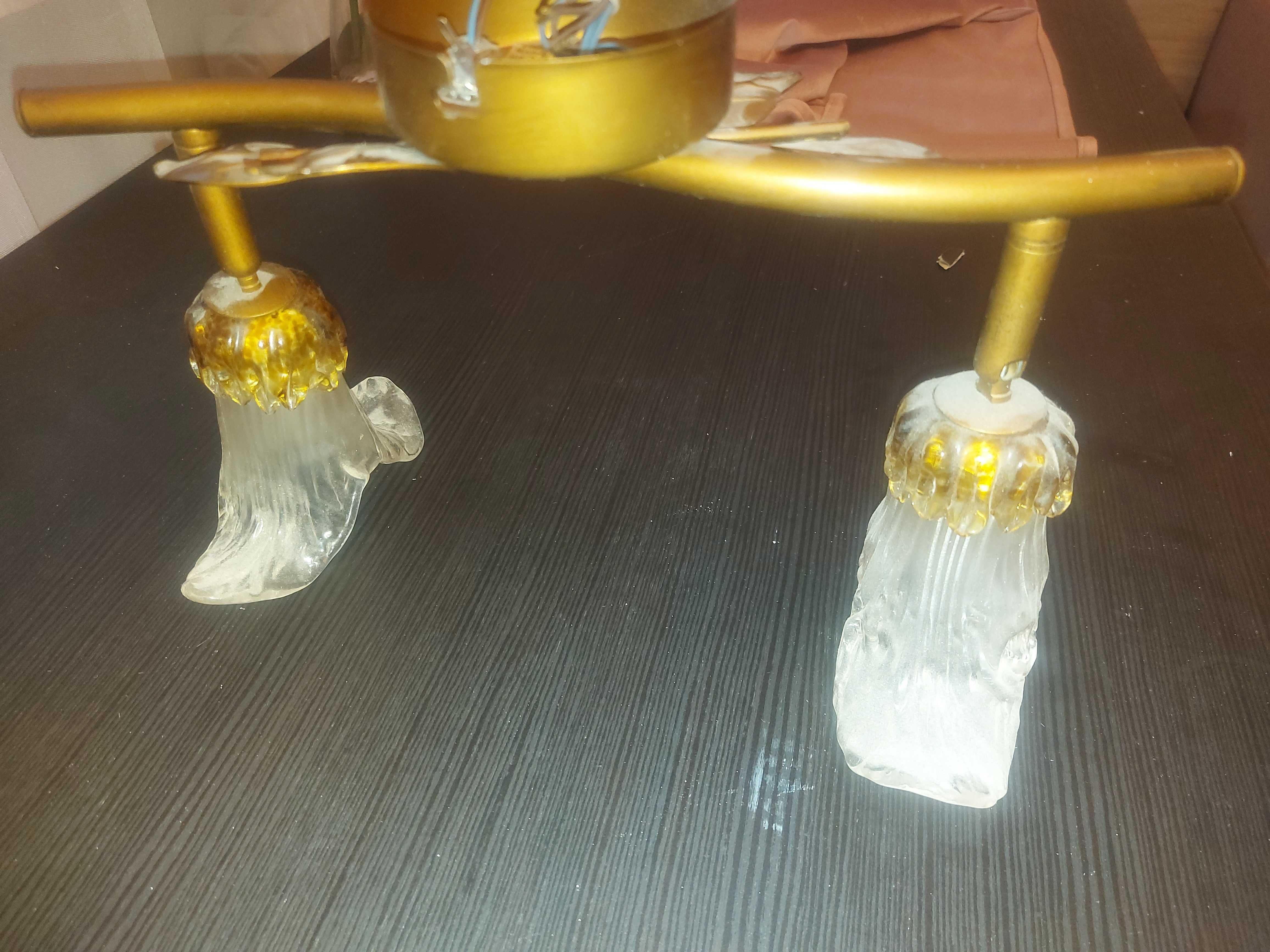 Tulipan Liście miedziana Lampa Listwa Sufitowa 2 punkty model 6151