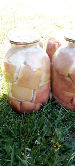 Продам домашнє сало у банках