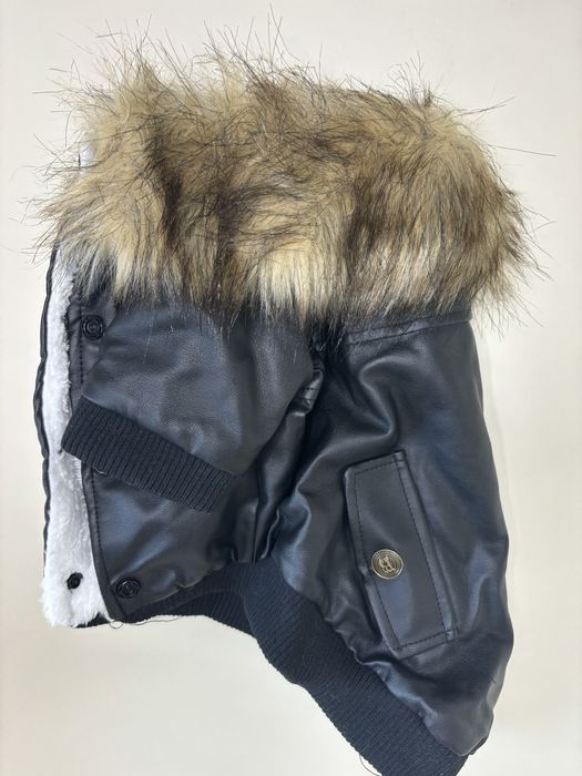 Одяг для собак