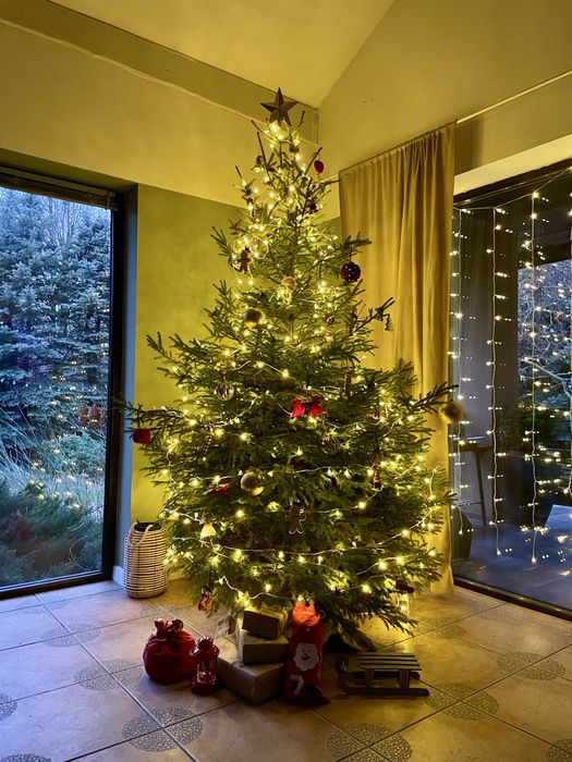 Dom przy Suntago | Święta, Wieczór Panieński, kawalerski, urodziny|