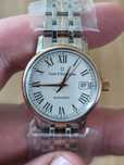 Carl F Bucherer Adamavi