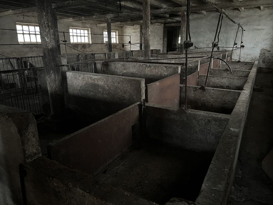 Свиноферма ( цілісний майновий комплекс ) 2700 кв м