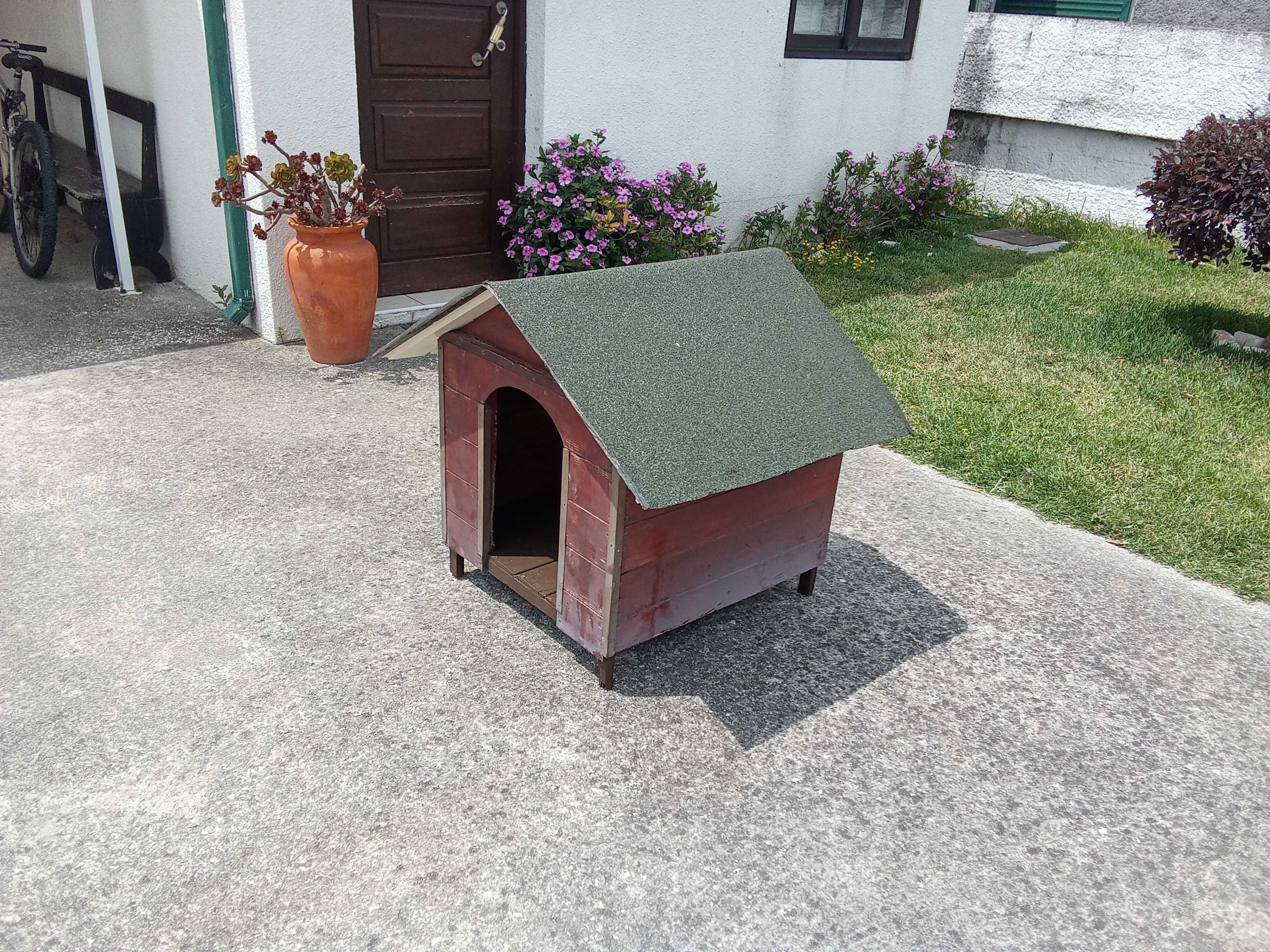Casota cão porte pequeno