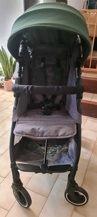 Kuki da Baby Monsters até 22kg