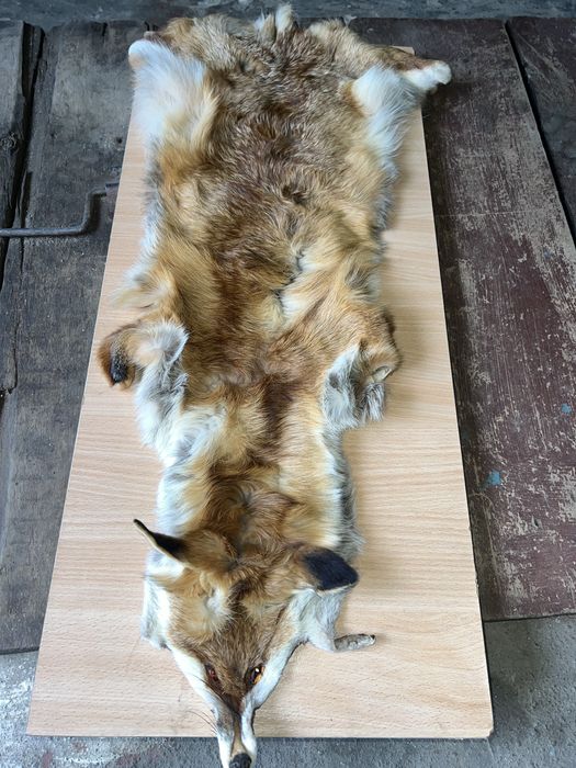 Хутро лисиці