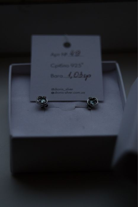 Сережки срібні «планета»