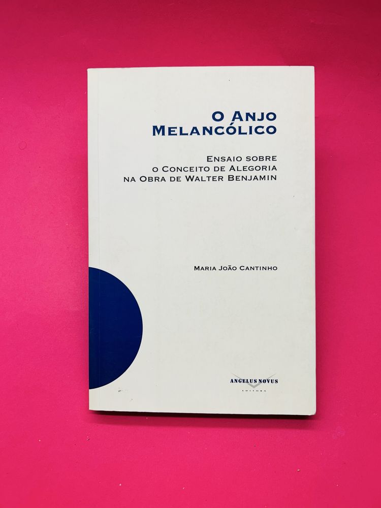 O ANJO MELANCÓLICO ENSAIO SOBRE O CONCEITO DE ALEGORIA
