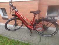 Pegasus Premio Evo 10 Lite