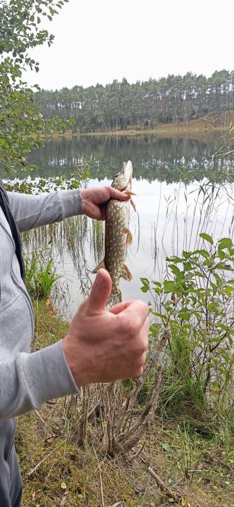 Domek Na Kaszubach z balika ogrzewany .Dla Seniorów i Młodych
