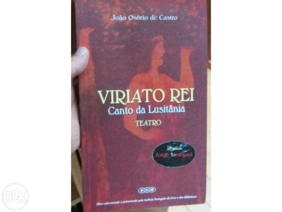 Literatura Portuguesa. Diversos Estilos.