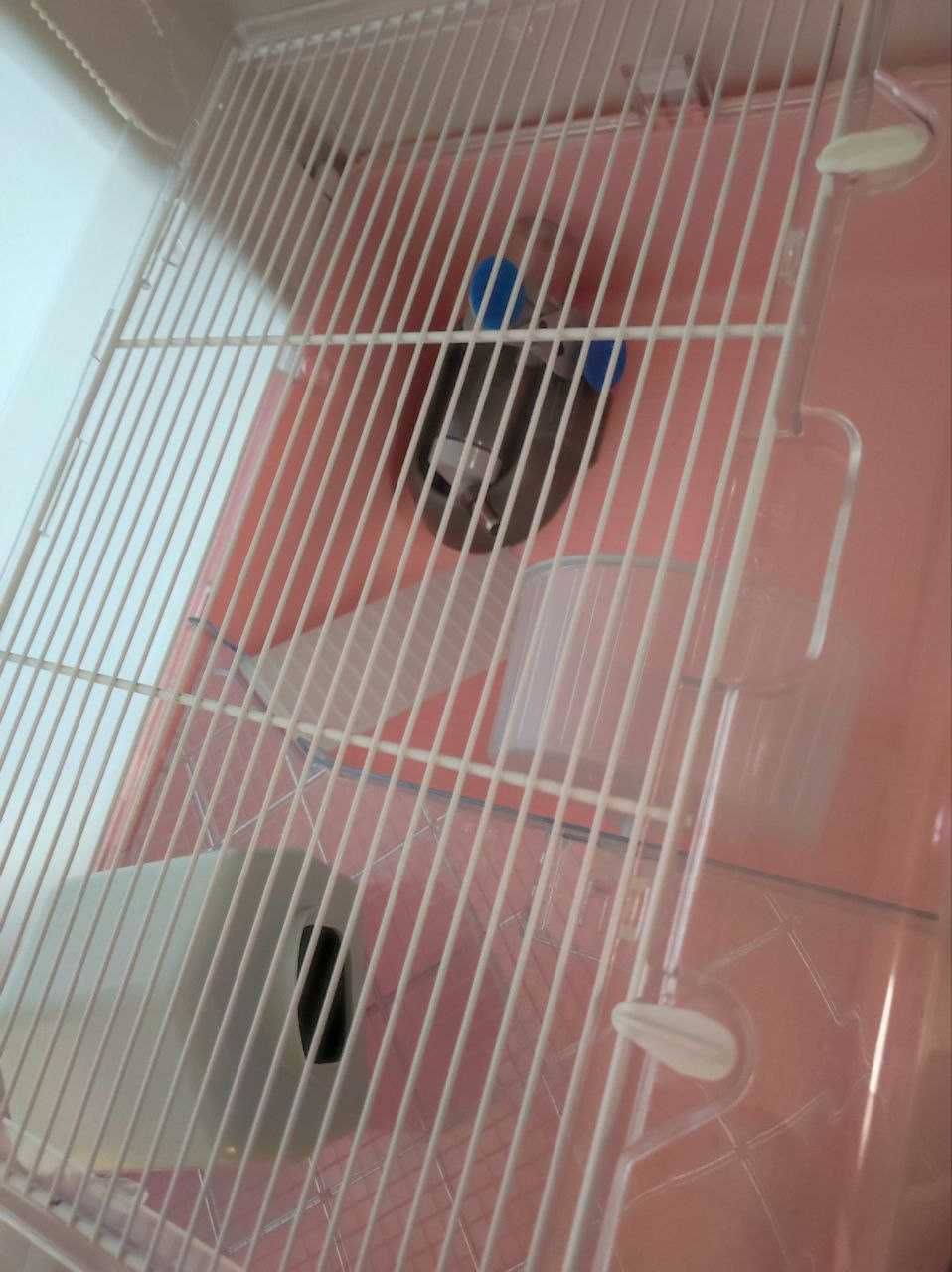 Клітка для гризунів Ferplast «Mini Duna Hamster» 55x39x27 см