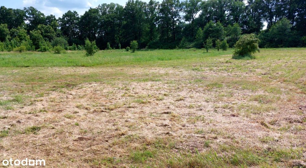 Brzezinka Średzka 1,391 ha przemysłowa, usługi 1.350 000 zł.