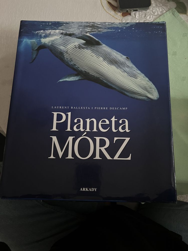 Planeta morz arkady