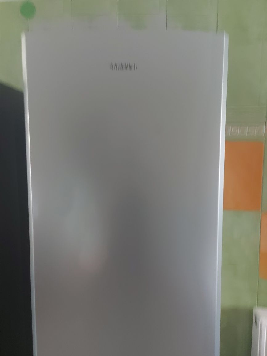 Lodówka Samsung model RL41SBPS