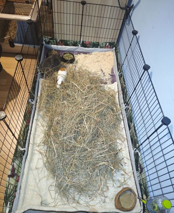 Nowy wybieg dla królika modułowy klatka dla szczeniaka świnki morskiej