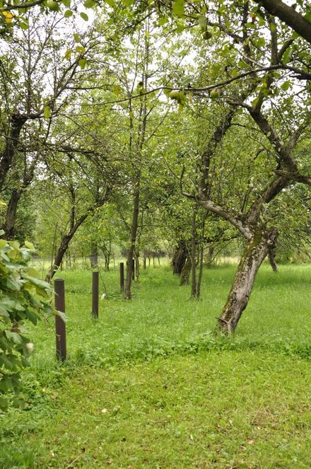 Продам земельну ділянку с. Гошів, Прикарпаття