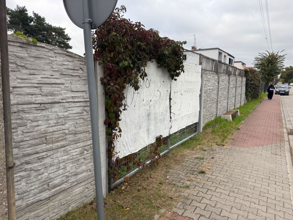 Oddam w dzierżawę działkę