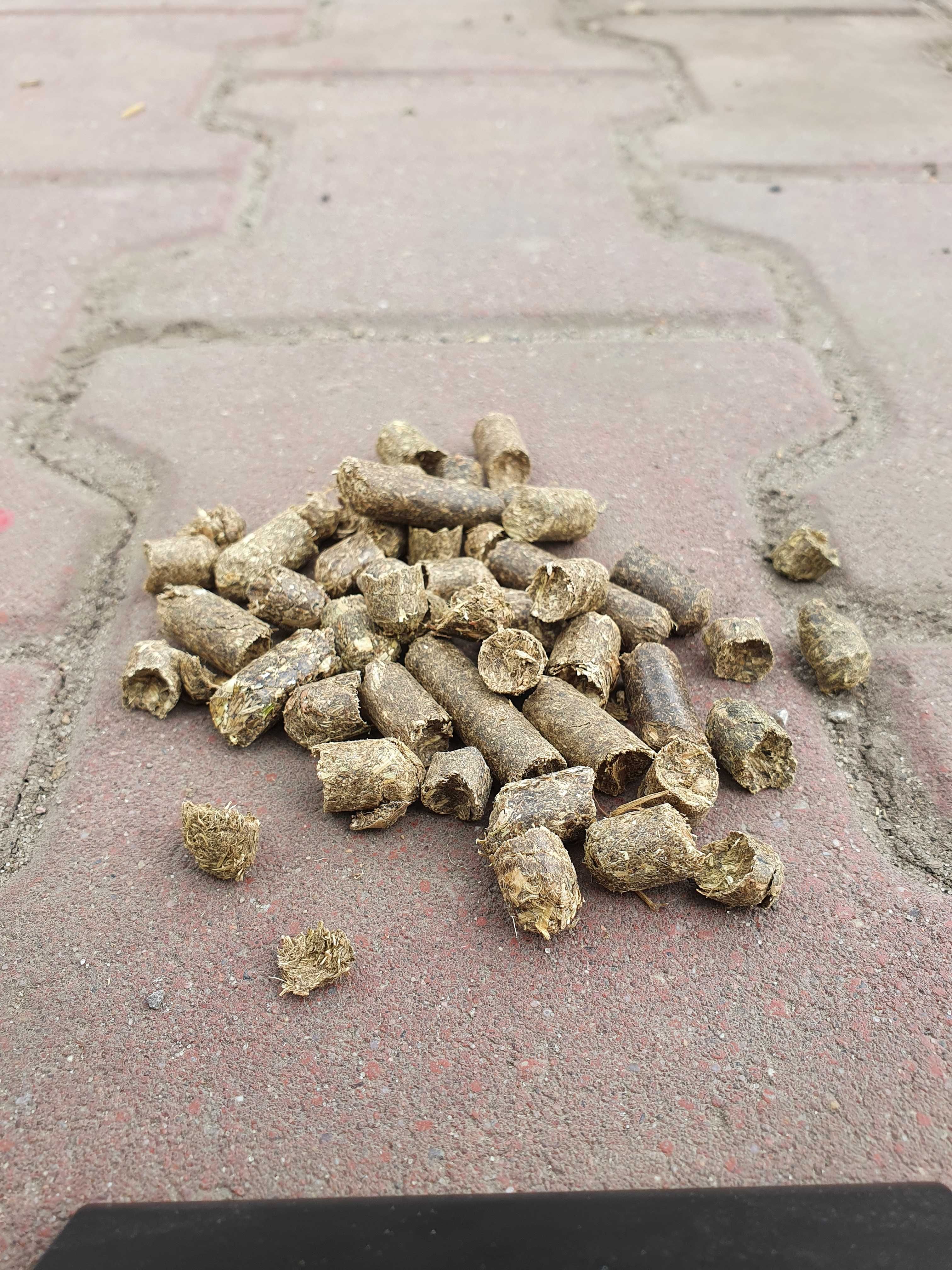PODGRZEWACZ WODY pellet opałowy do podgrzewania wody pelet dostawa UPS