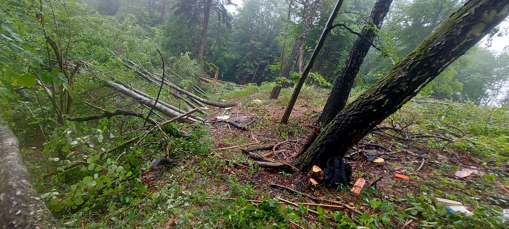 Zrywka drewna, Ścinka drewna, Koszenie łąk Odkrzaczanie