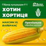 Продам насіння кукурудзи Хотин