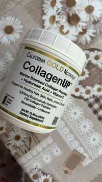 Collagen gold морской коллаген
