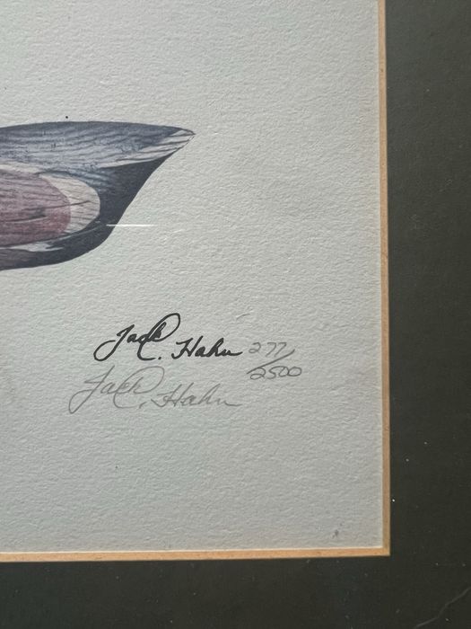 Zestaw 3 grafik Jack L. Hahn sygnowane limitowane wydruki kaczek