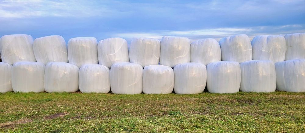 Baloty bele sianokiszonki sianokiszonka z trawy siano