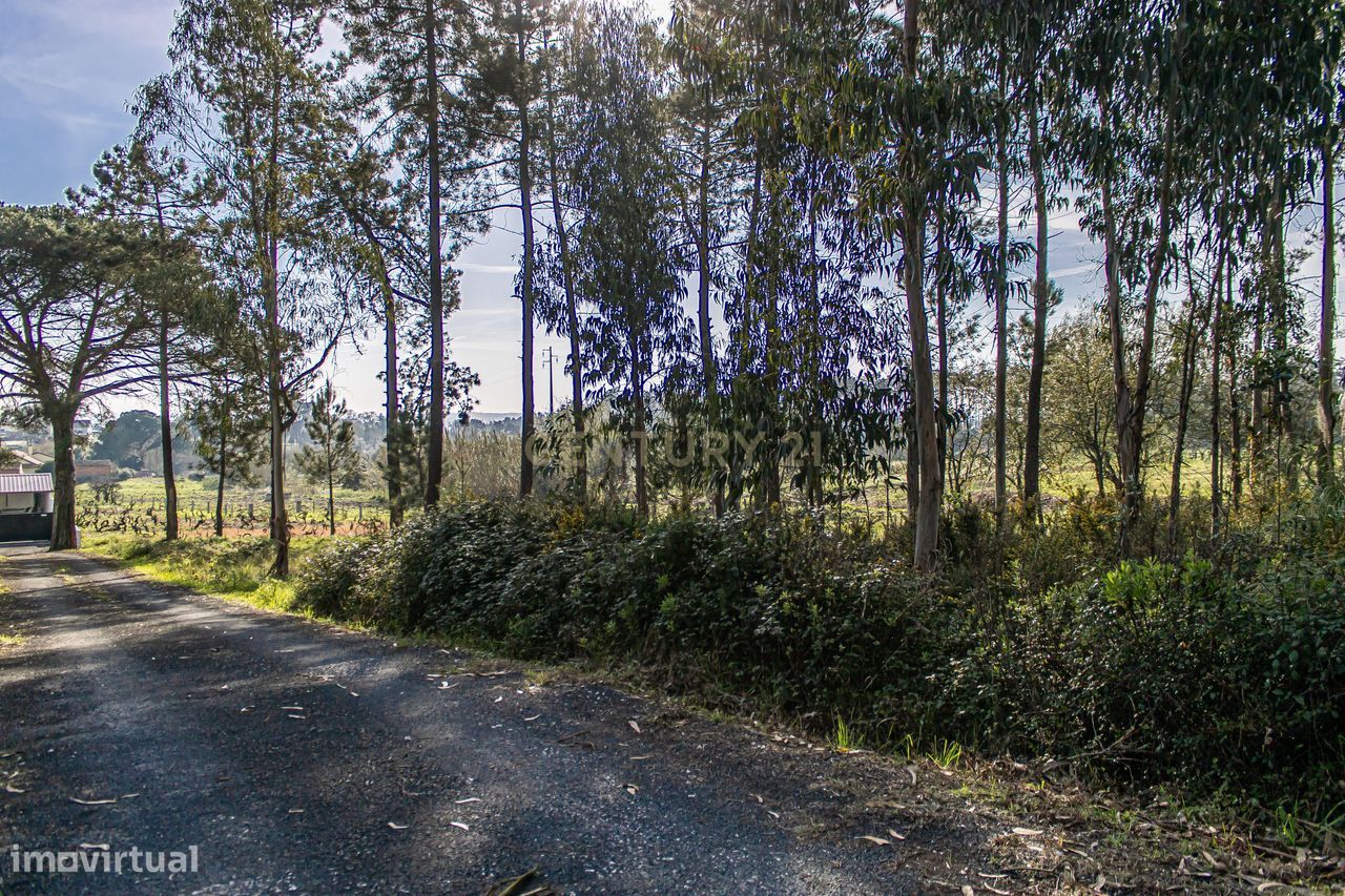 Terreno | 440m2 | Regueira de Pontes | Leiria